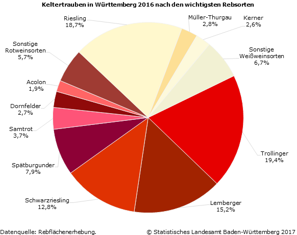 Schaubild 1: Keltertrauben in Württemberg 2016 nach den wichtigsten Rebsorten Schaubild 1: Keltertrauben in Württemberg 2016 nach den wichtigsten Rebsorten