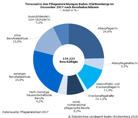Schaubild 1: Personal in den Pflegeeinrichtungen Baden-Württembergs im Dezember 2017 nach Berufsabschlüssen