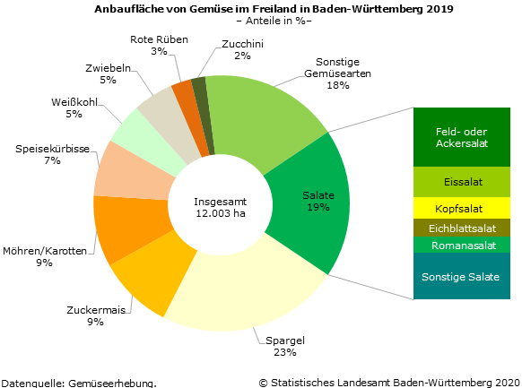Schaubild 1: Anbau von Gemüse im Freiland in Baden-Württemberg 2019