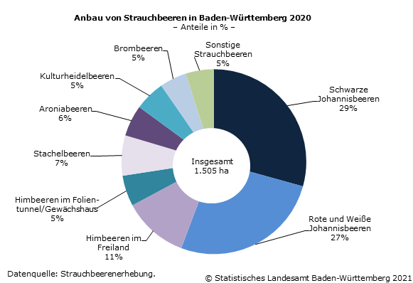 Schaubild 1: Anbau von Strauchbeeren in Baden-Württemberg 2020