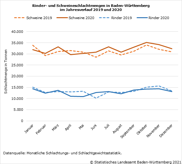 Schaubild 1: Rinder- und Schweineschlachtmengen in Baden-Württemberg im Jahresverlauf 2019 und 2020