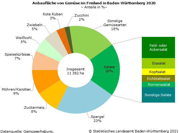 Schaubild 1: Anbaufläche von Gemüse im Freiland in Baden-Württemberg 2020
