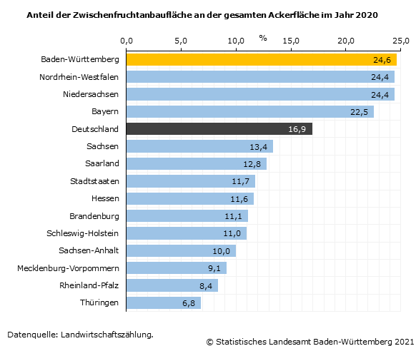 Schaubild 3: Anteil der Zwischenfruchtanbaufläche an der gesamten Ackerfläche im Jahr 2020