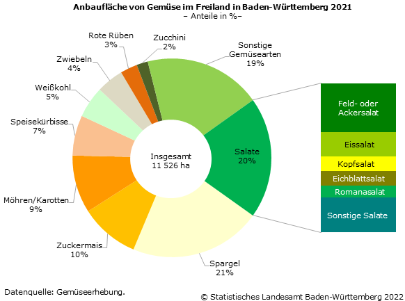 Schaubild 1: Anbaufläche von Gemüse im Freiland in Baden-Württemberg 2021