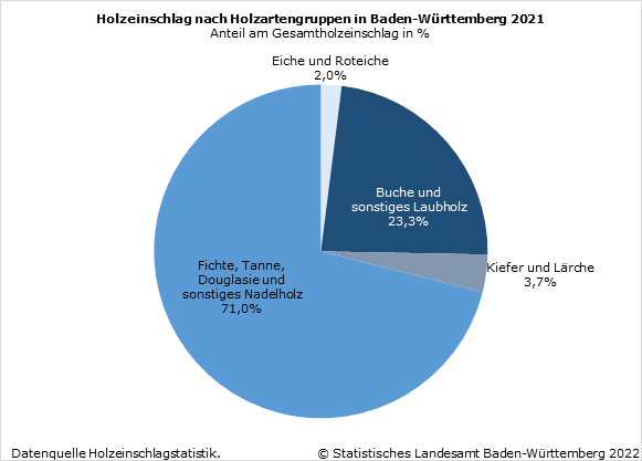 Schaubild 1: Holzeinschlag nach Holzartengruppen in Baden-Württemberg 2021