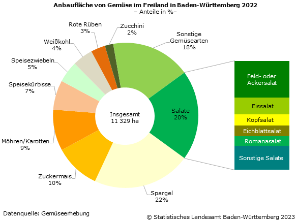Schaubild 1: Anbaufläche von Gemüse im Freiland in Baden-Württemberg 2022