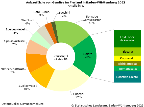 Schaubild 1: Anbaufläche von Gemüse im Freiland in Baden-Württemberg 2022 Schaubild 1: Anbaufläche von Gemüse im Freiland in Baden-Württemberg 2022