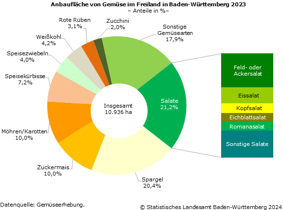 Schaubild 1: Anbaufläche von Gemüse im Freiland in Baden-Württemberg 2023 – Anteile in % Schaubild 1: Anbaufläche von Gemüse im Freiland in Baden-Württemberg 2023 – Anteile in %
