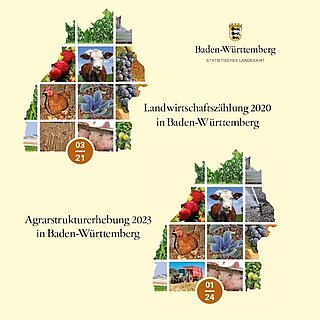 Bild zur Veröffentlichung