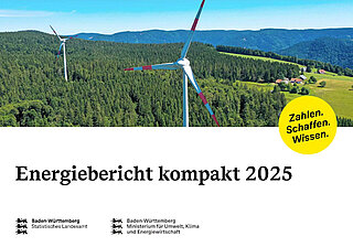 Bild zur Veröffentlichung