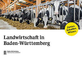 Bild zur Veröffentlichung