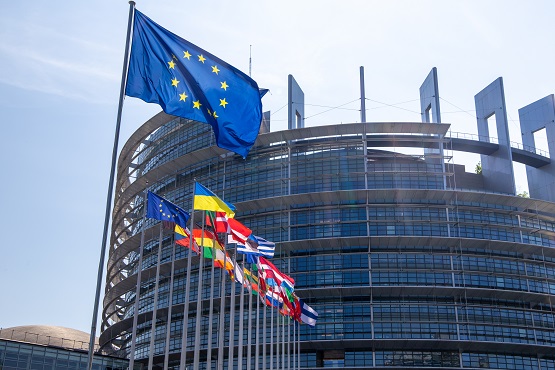 Europäisches Parlament in Straßburg Symbolbild: Europäisches Parlament Straßburg