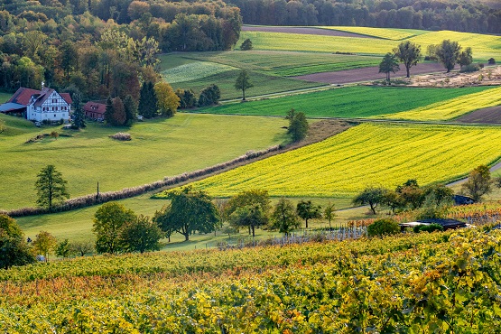 Symbolbild: Agrarlandschaft im Herbst