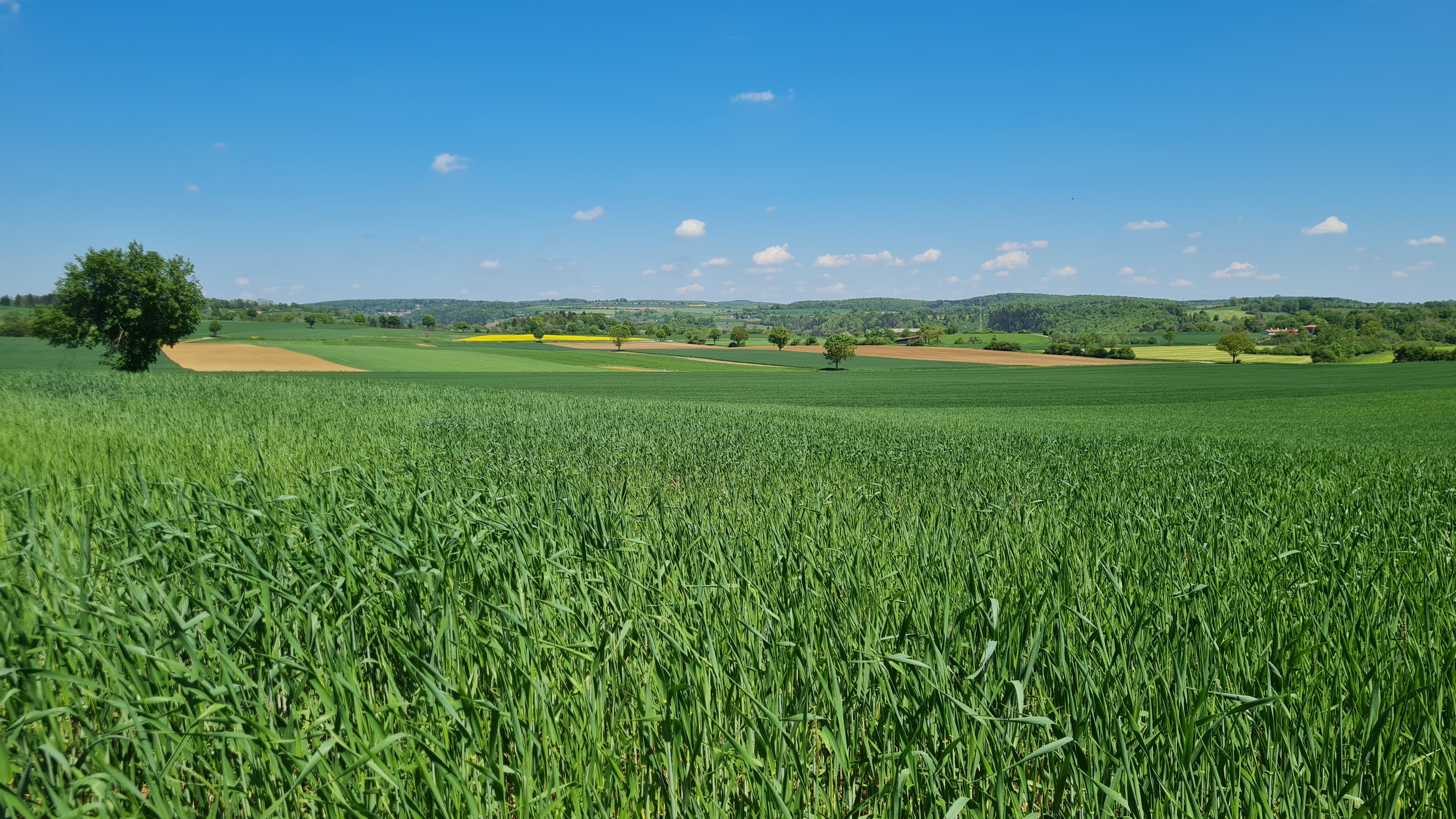 Symbolbild: Ackerland